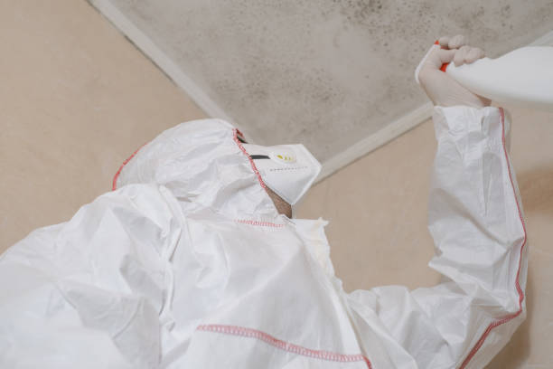 Best Industrial Mold Remediation in Lake Holm, WA