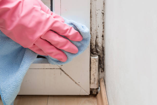 HVAC Mold Remediation